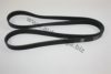 AUTOMEGA 30101020827 V-Ribbed Belts